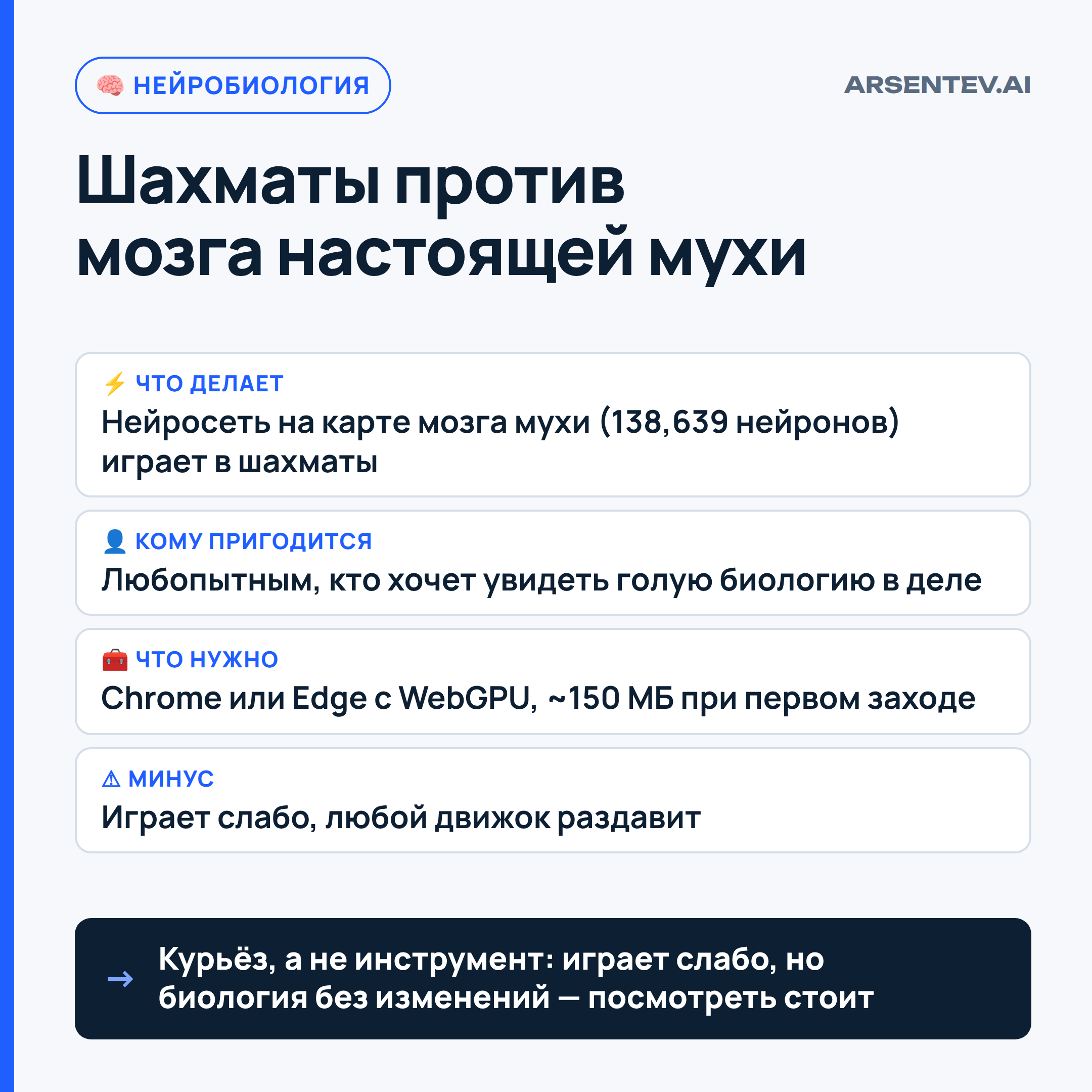 Сыграй в шахматы против мозга настоящей мухи